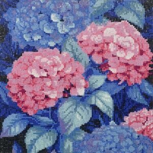 Blue & Pink Hydrangea Flower
