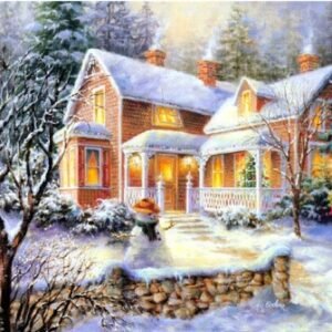 Snow diamond painting home with snowman in /winter