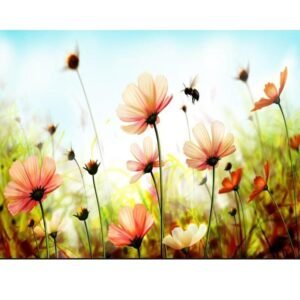 5D Diamond Painting -  blumenwiese  Flowers & Bees