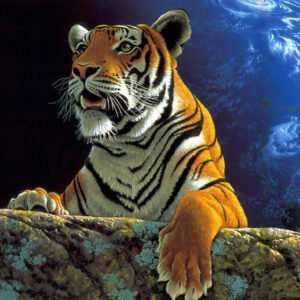 New 5D HOT Diy Diamond Painting Tiger Animal Paradise Earth Mosaic Diamond
