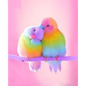 5D Diamond Painting Vogelliebe   Lovebirds