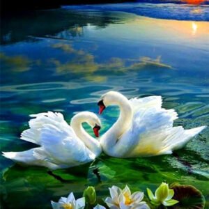Diamond Painting Embroidery Swan Lake