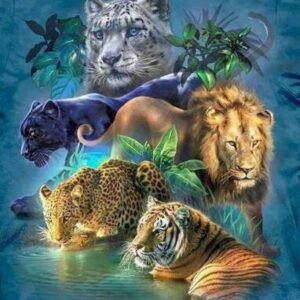 5D Diamond  Round Diamond Square Diamond  Cats of Jungle