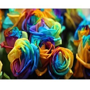 5D Diamond Painting -   Rosen   Roses