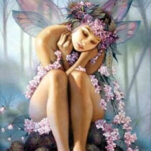 5D Diamond Painting Fairy