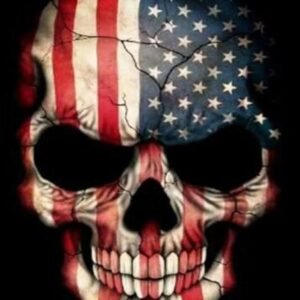 American skull diamond painting