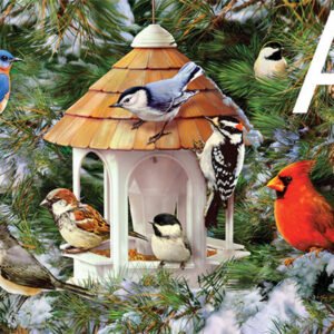 Diy Diamond Painting Bird Full Painting