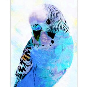 Round Square Diamond Painting, 5D Craft Drawing, Animal Bird