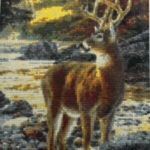 Autumn Buck by River